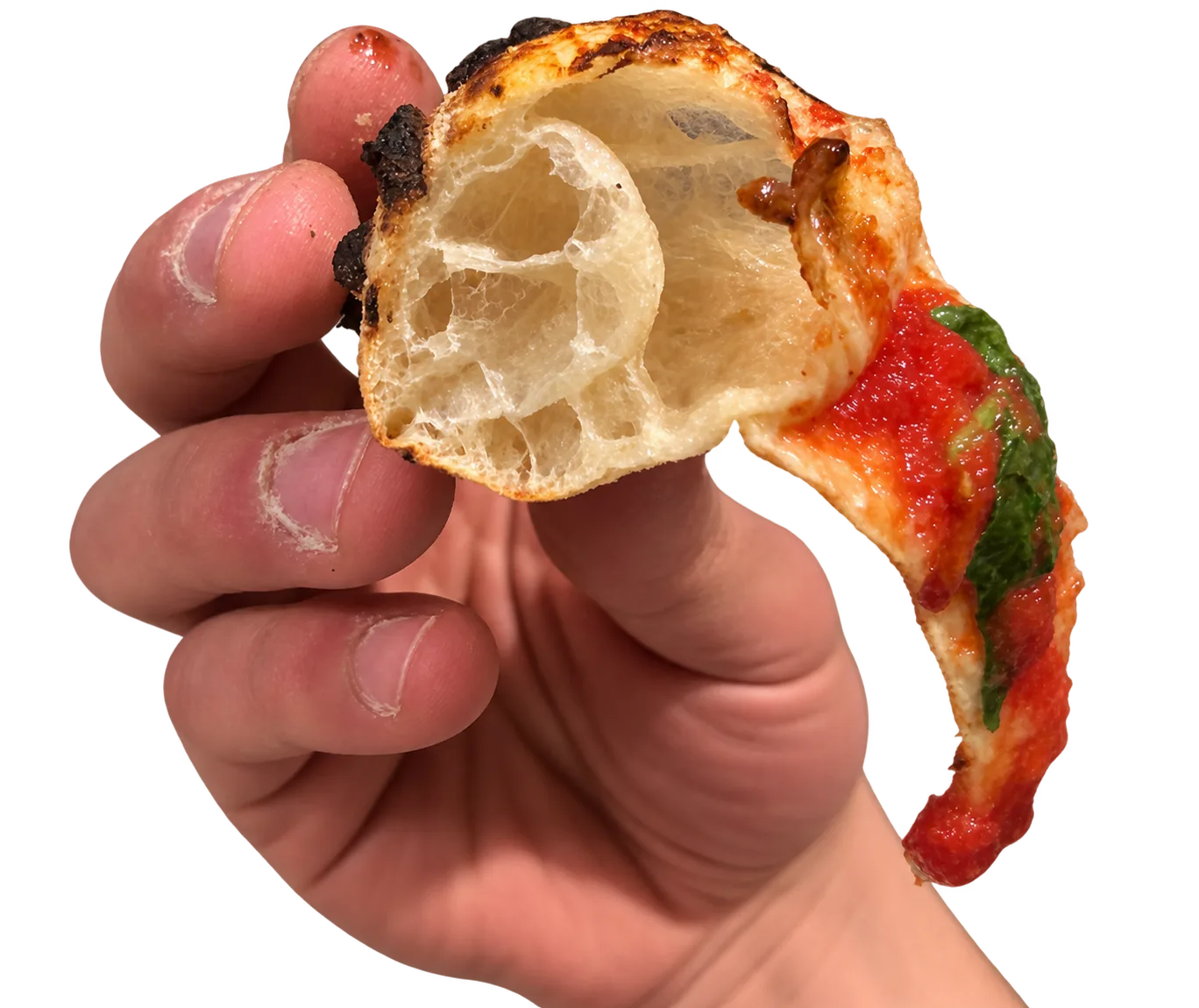Cross-section of a Neapolitan pizza slice showing airy open crumb and charred crust